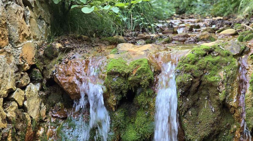 PARK PRIRODE „GUBER“ ZVANIČNO POD ZAŠTITOM